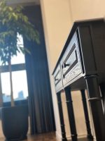 کنسول ونیز (Venice Console) – چوب‌خط - تصویر 3